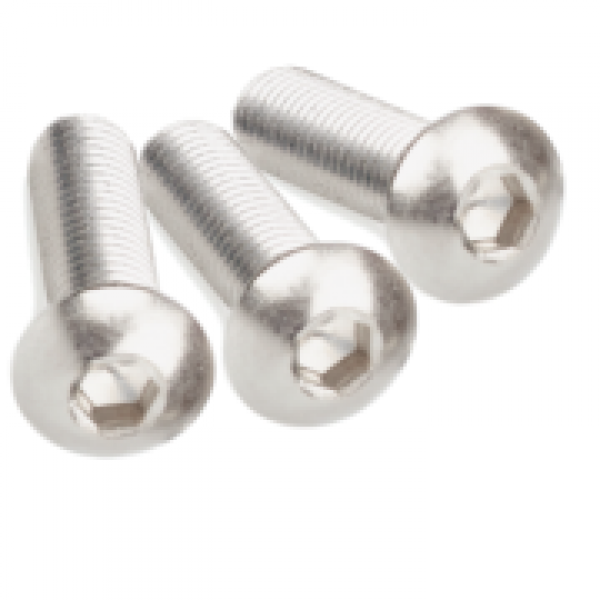 BULLONE TBIE MM.8X60 INOX A4